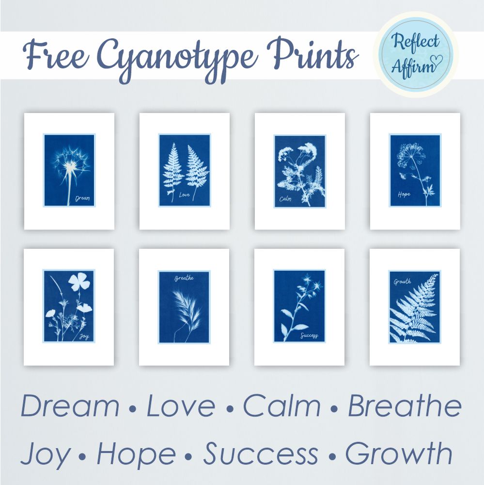 Cyanotype prints use sunlight and blue dye to create beautiful patterns and designs on paper. Get free Cyanotype Prints PDF today.